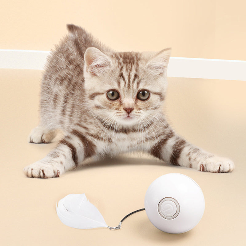 Automatic LED Intelligent Cat Ball