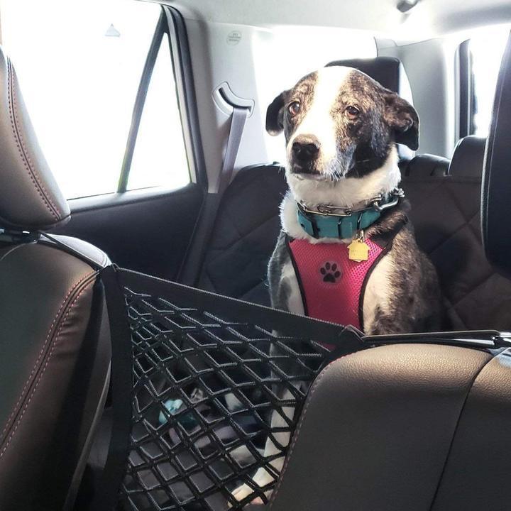 2023 New Storage Network of Car Seat