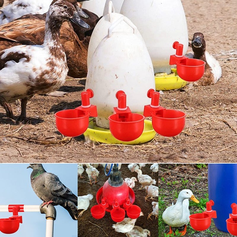 Automatic Poultry Waterer (6 PCS)