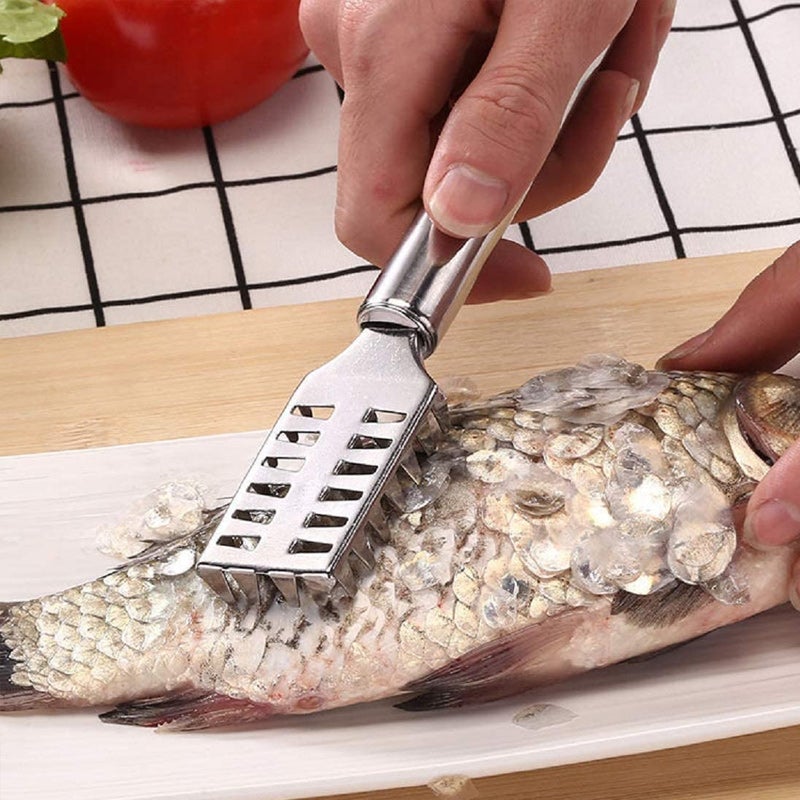 Stainless Steel Fish Scale Planer